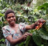 Tanna Kaffee (Vanuatu : direkt gehandelt)