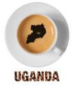 Gorilla Projektkaffee Uganda
